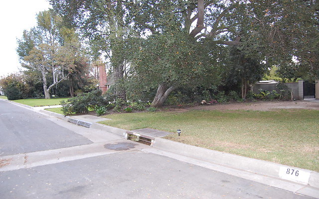 DSC 0079