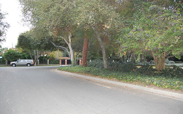 DSC 0073