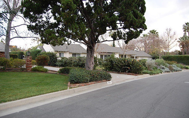 DSC 0113