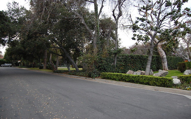 DSC 0082