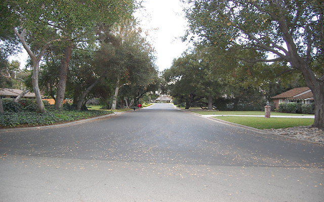 DSC 0068