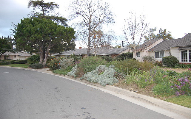 DSC 0107