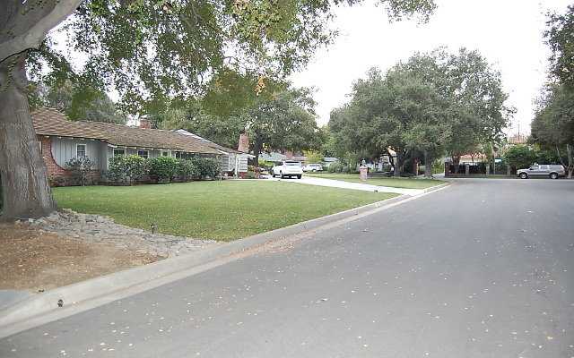 DSC 0078
