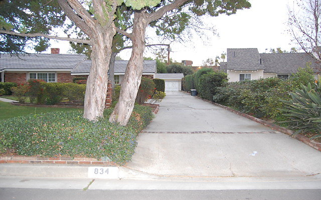 DSC 0113a