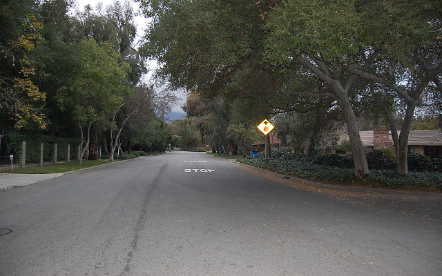 DSC 0067