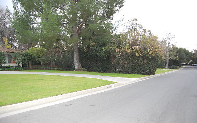 DSC 0104
