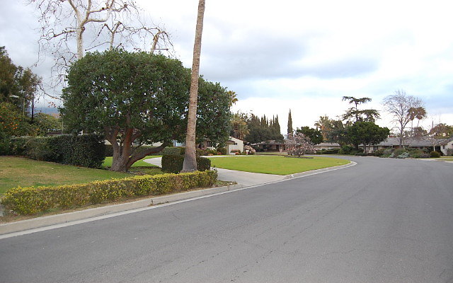 DSC 0097