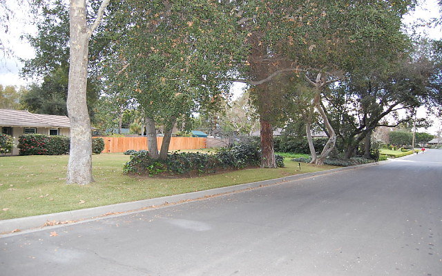 DSC 0075