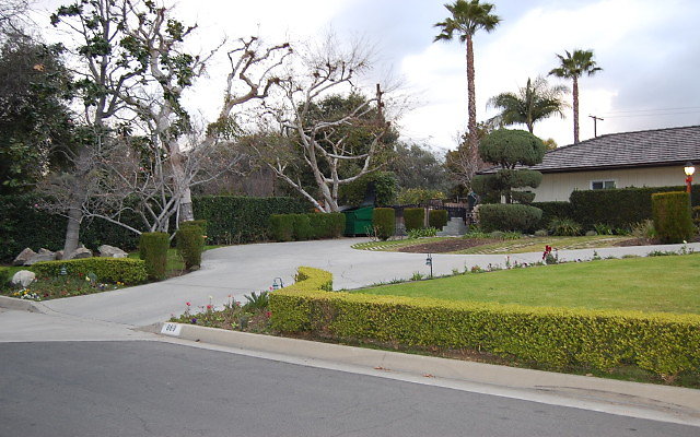 DSC 0085