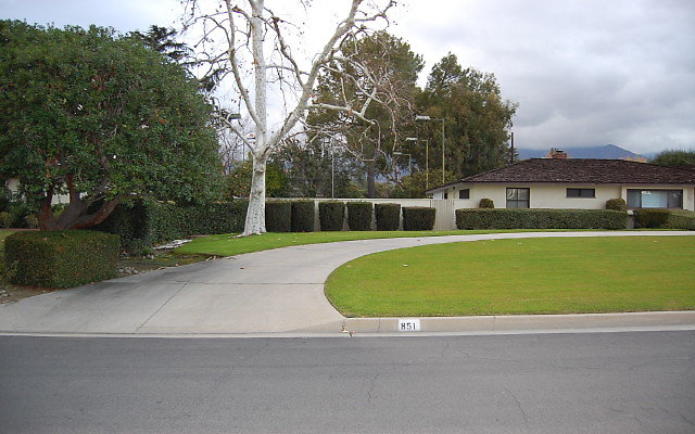 DSC 0099