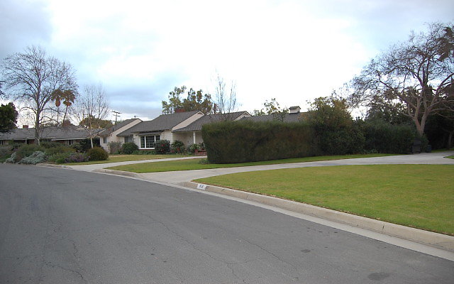 DSC 0102