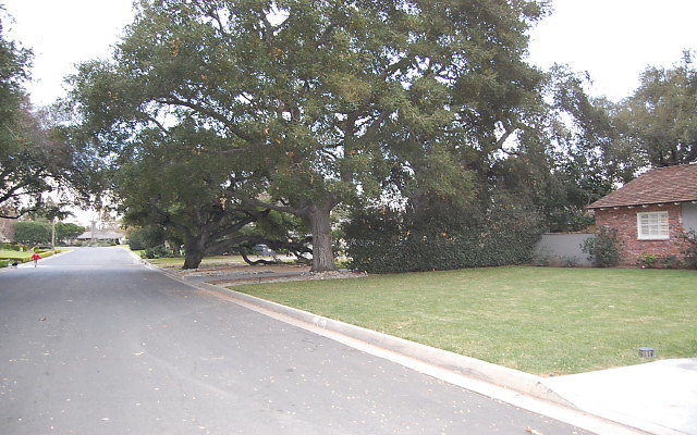 DSC 0070