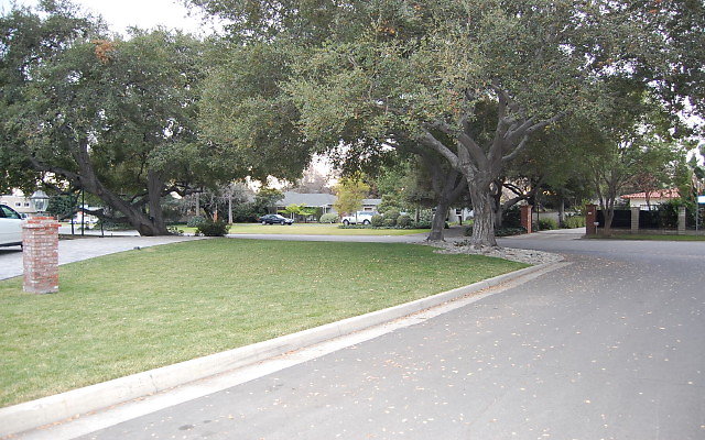 DSC 0072