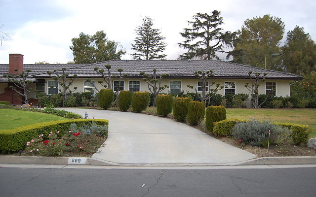 DSC 0096