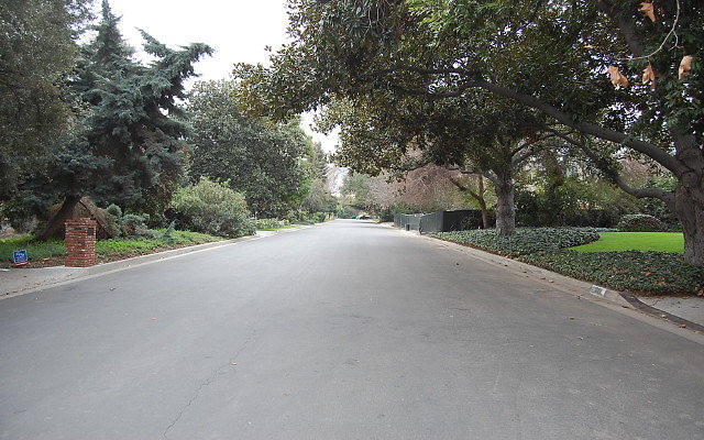 DSC 0006