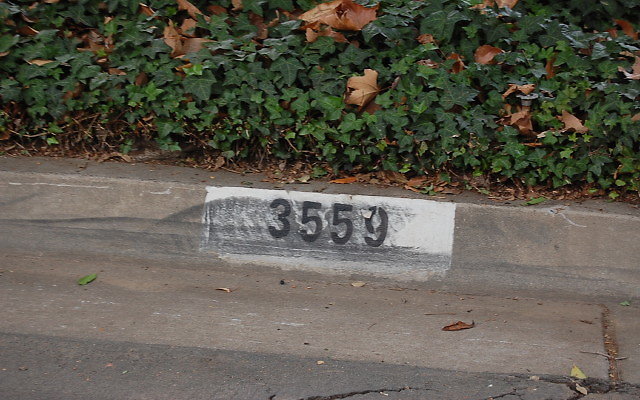 DSC 0010