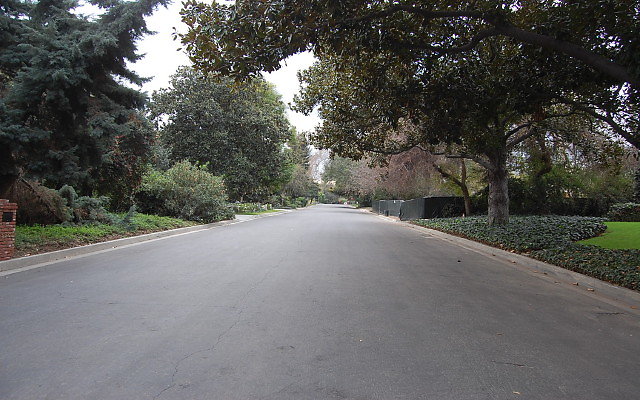 DSC 0009