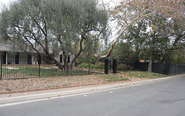 DSC 0035