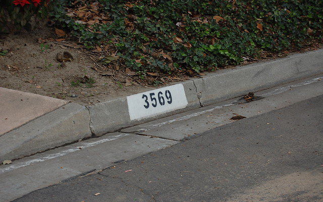 DSC 0007