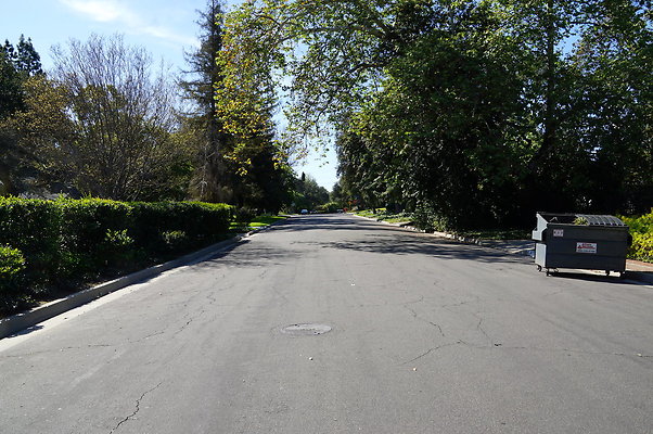 Lombardy.Rd.Chap.Woods.12
