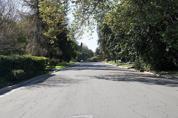 Lombardy.Rd.Chap.Woods.14