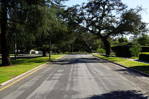 Michigan.Blvd.E.Pas.66