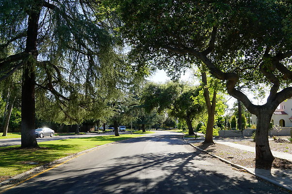 Michigan.Blvd.E.Pas.90