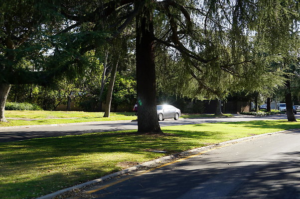 Michigan.Blvd.E.Pas.84