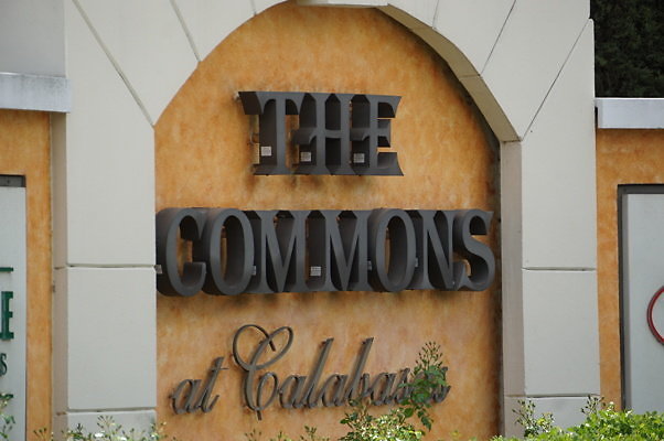 The.Commons.83