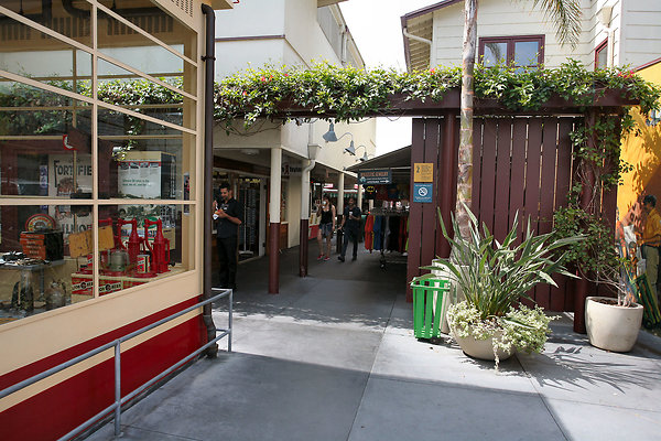 3rd&amp;FairfaxFarmersMarket 2015-06-27 STST 004