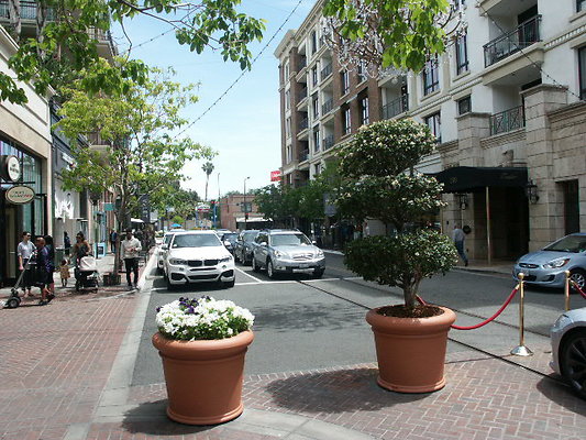 PICT0074