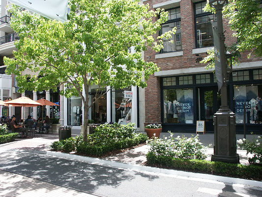 PICT0010