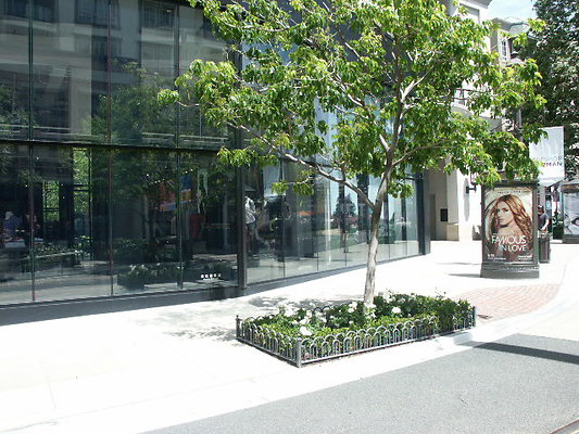 PICT0005