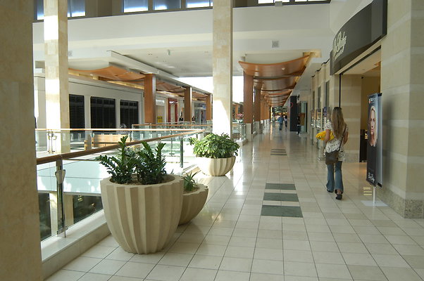 DSC 7631