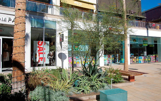 DSC 0065