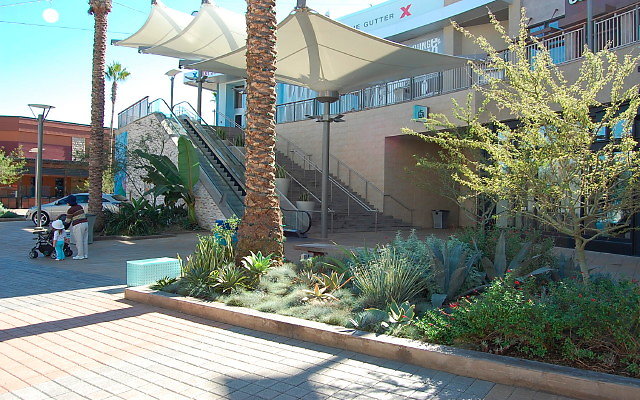 DSC 0070