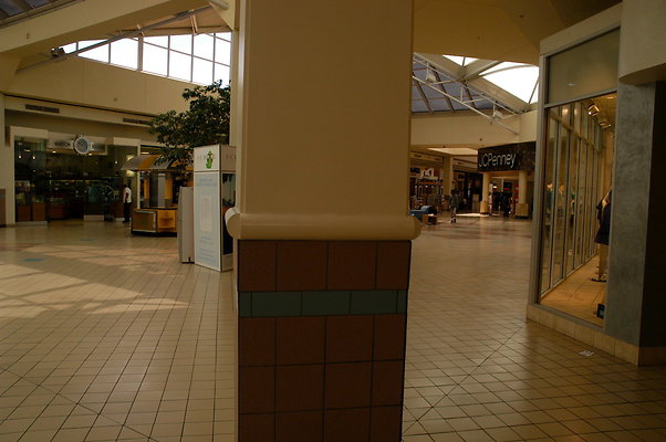 DSC 0264