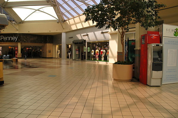 DSC 0254