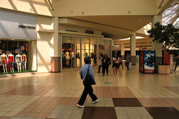 DSC 0246