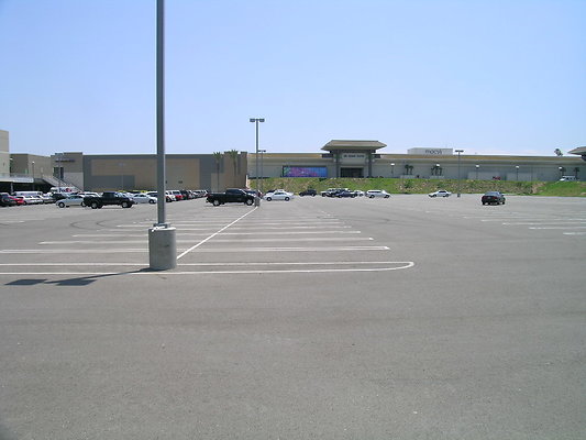 DSCN7606