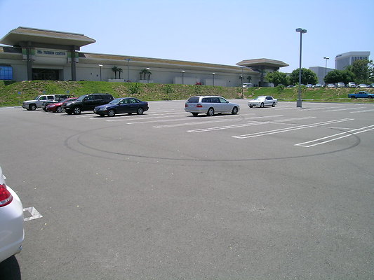 DSCN7598