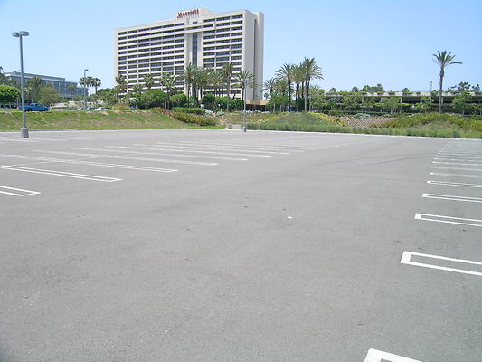 DSCN7600