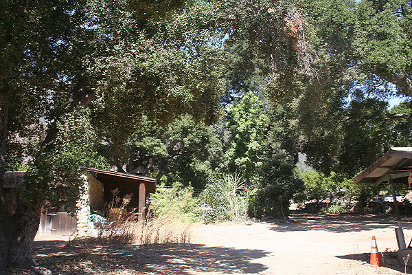 IMG 0070