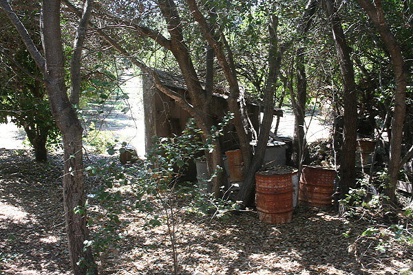 IMG 0064
