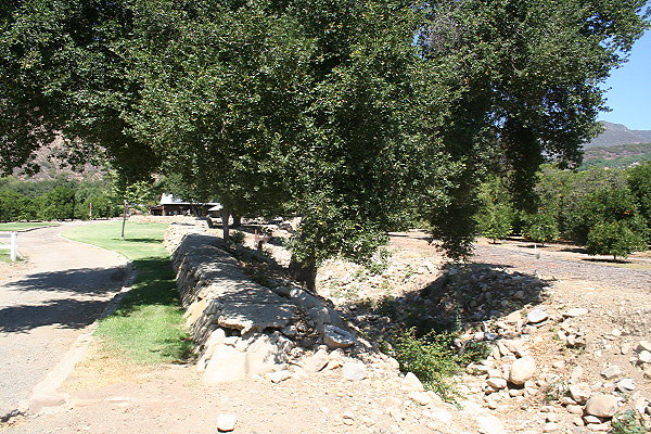 IMG 0101