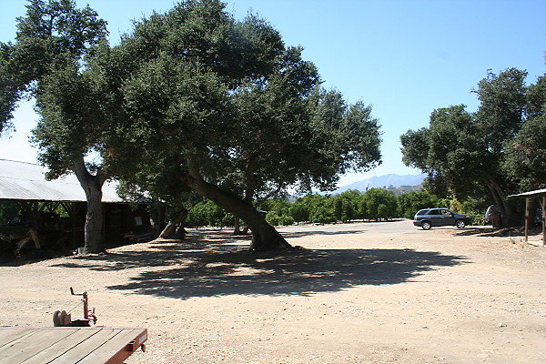 IMG 0076