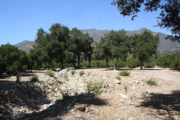 IMG 0113