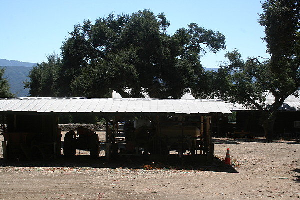 IMG 0084
