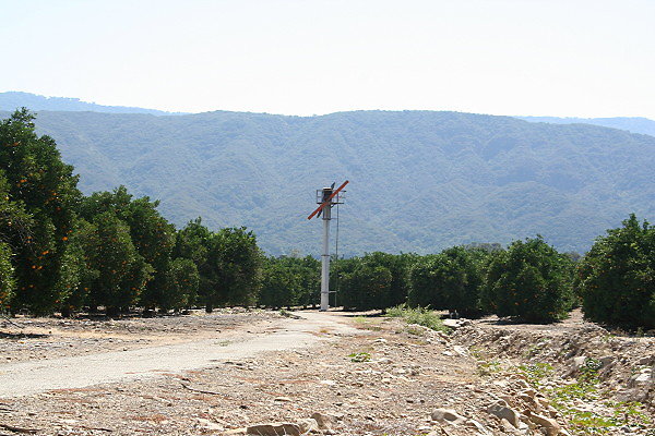 IMG 0109