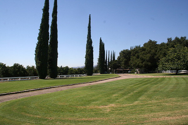 IMG 0098